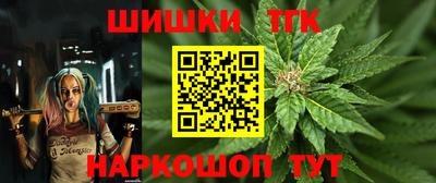 МДПВ Заводоуковск
