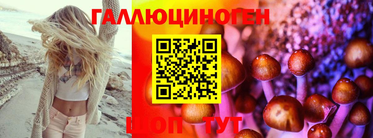 Галлюциногенные грибы ЛСД Лесозаводск