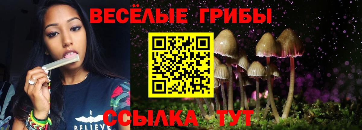 АМФЕТАМИН Лесозаводск